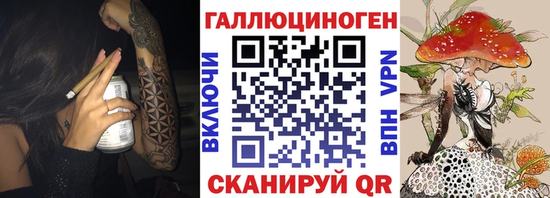 Псилоцибиновые грибы Psilocybine cubensis  Майкоп 
